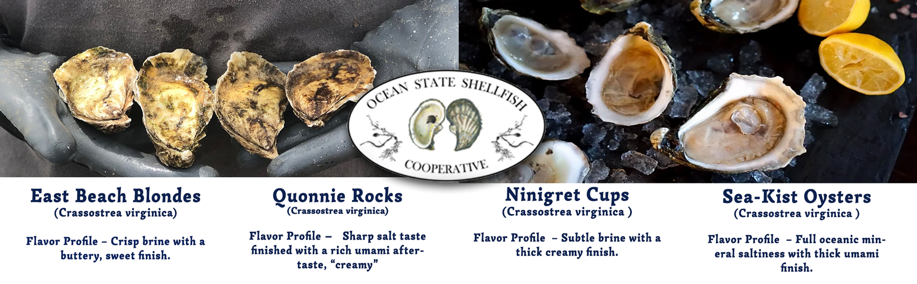 Rhode Island Oysters Farm Stand Ninigret Landing